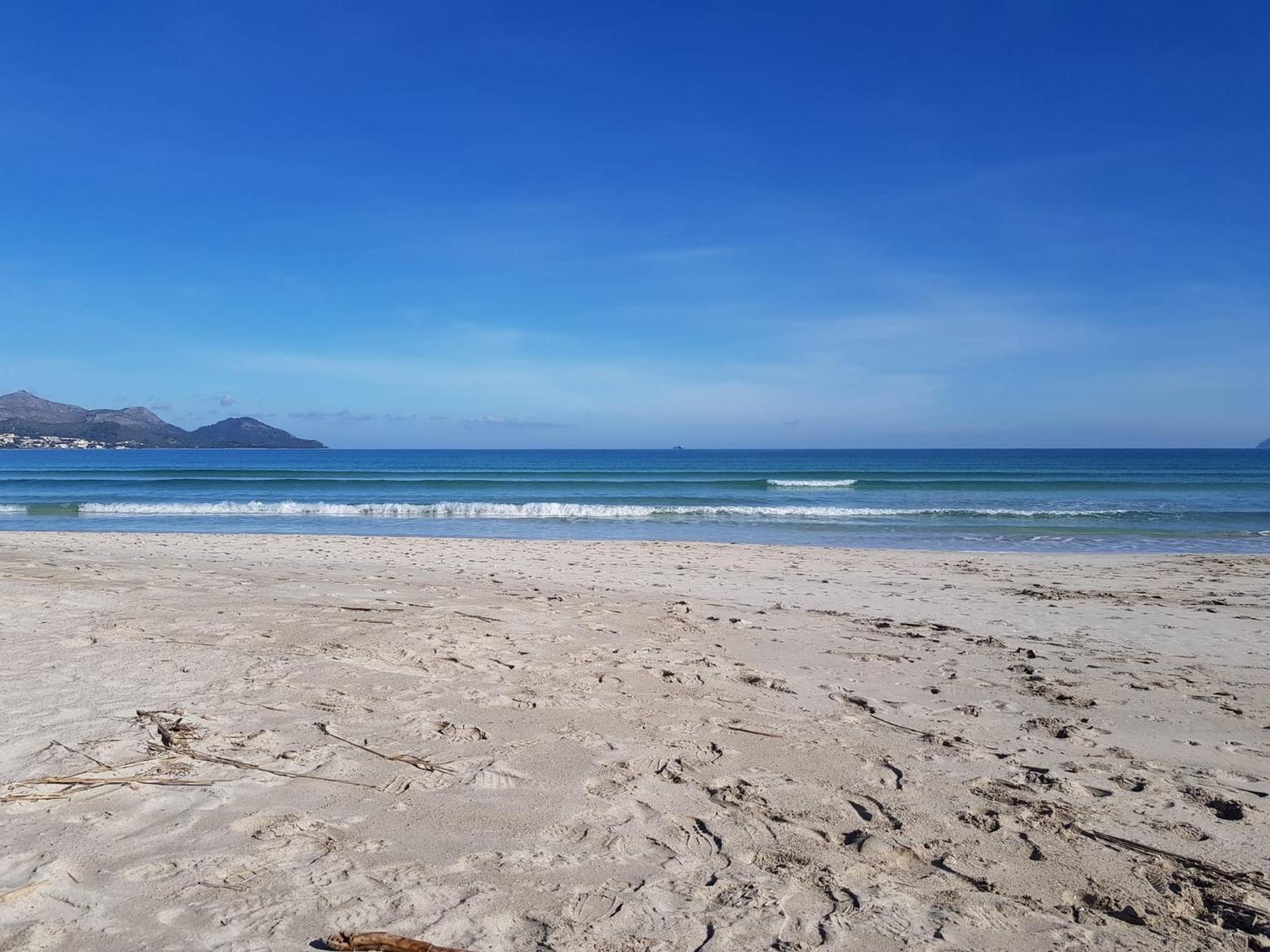 Ideal Property Mallorca - Mary Port de Alcudia  Eksteriør bilde